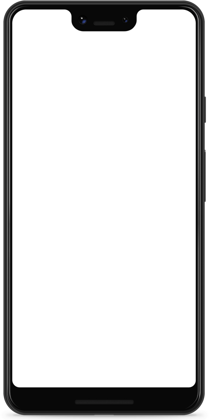 phone frame around project screenshot